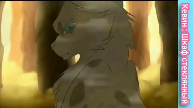 Кевин : Шкаф стеклянный , клип по кв смотреть онлайн