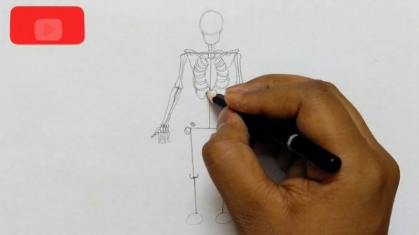 human skeleton diagram / how to draw human skeleton drawing easy