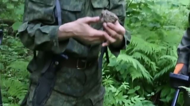 Может копать, может не копать! Творчество Камрадов смотреть онлайн