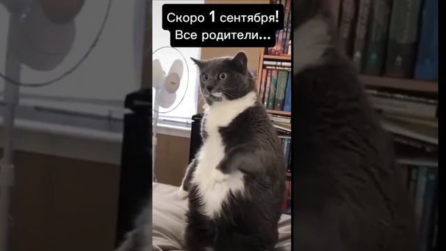 Скоро 1 сентября 😁 #юмор #подготовка к школе