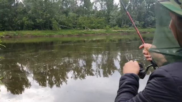 РЫБАЛКА! ПЫТАЕМСЯ ПОЙМАТЬ БОЛЬШУЮ РЫБУ!.. смотреть онлайн