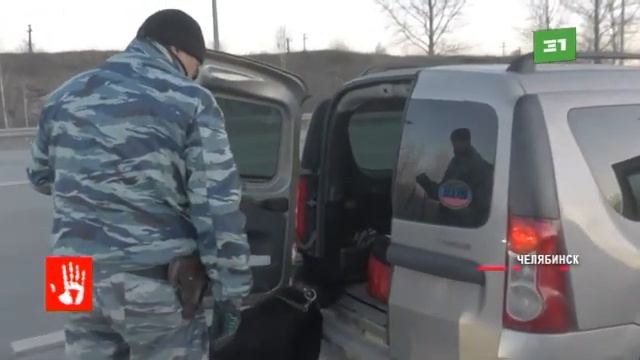 В Челябинске сотрудники полиции проверили документы у 400 мигрантов смотреть онлайн