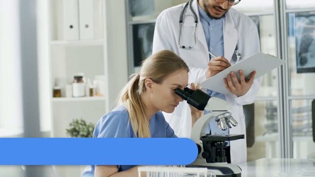 Грибное лето