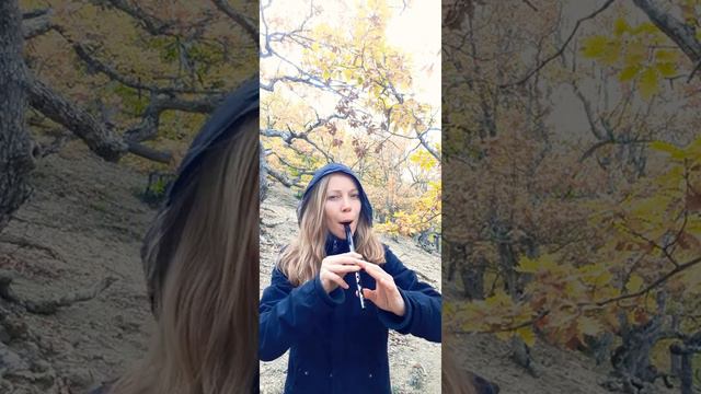 Ирландская композиция на вистл (Irish music by whistle) смотреть онлайн