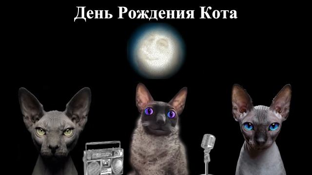 День Рождения -Котика Костяна админами Совой , Алексом и Пчелой смотреть онлайн