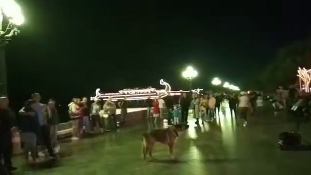 Набережная г. Ялта. Сольный концерт Мухтара. смотреть онлайн