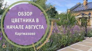 Обзор цветника в начале августа. Картмазово
