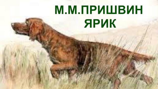 М.М. Пришвин Ярик слушать онлайн аудиорассказ , аудиосказка, аудиоучебник, читаем летом, литература смотреть онлайн