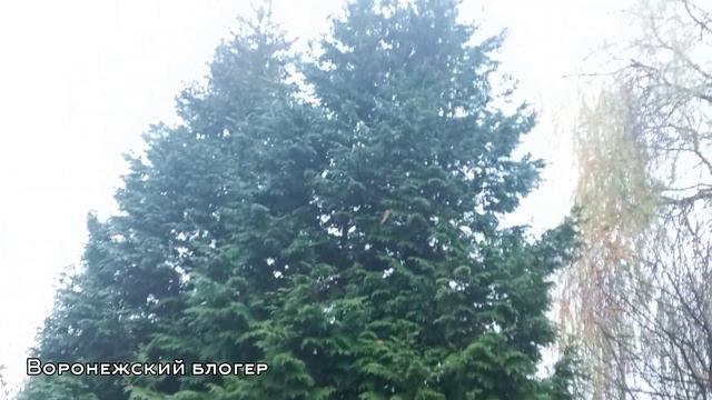 " НАД ЗЕМЛЁЙ МОРОЗ, А В НАШИ ДУШИ ПРИДЁТ АПРЕЛЬ/ РЕКА ДОН/ ХВОЩЕВАТКА смотреть онлайн