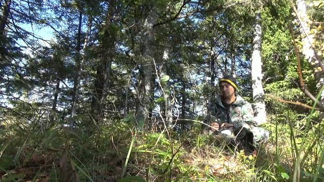 Сопки. смотреть онлайн