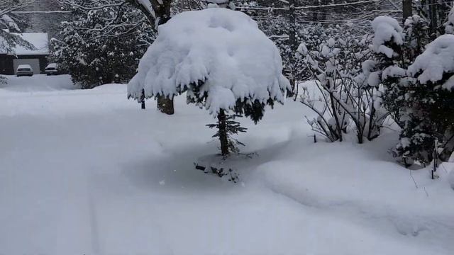 ЗИМОЙ В КВЕБЕКЕ смотреть онлайн