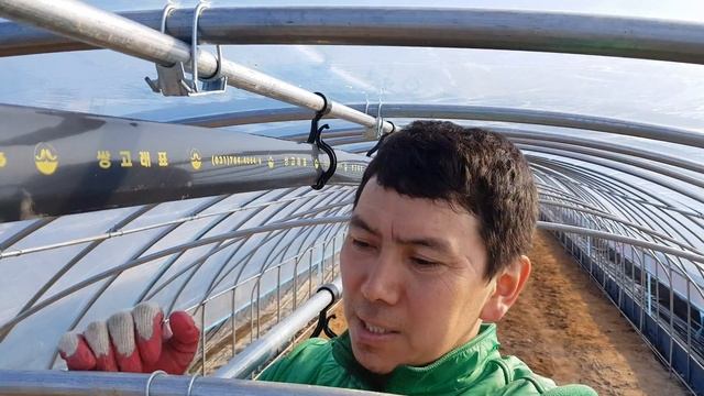 Теплицы как все устроено! 2.0 в Южной Корее!!! смотреть онлайн