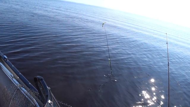 Рыбалка троллингом на Рыбинке. Брейтово 18+ смотреть онлайн