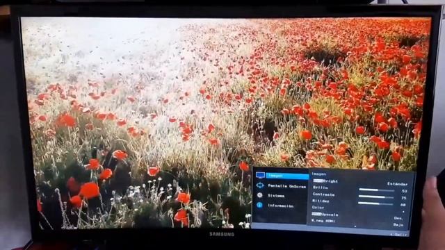 Monitor SAMSUNG LED Curvo 24” C24F390FHU - Unboxing y Review en Español смотреть онлайн