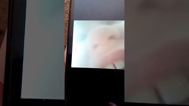 Я вас умоляю Сделайте это новый мем смотреть онлайн