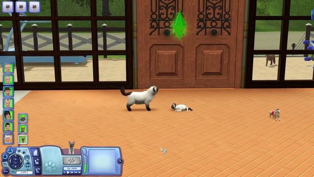 Котёнок! Супер-сальто Ванессы в бассейн. ;) Райские Острова. #13. Let's Play the Sims 3 смотреть онлайн