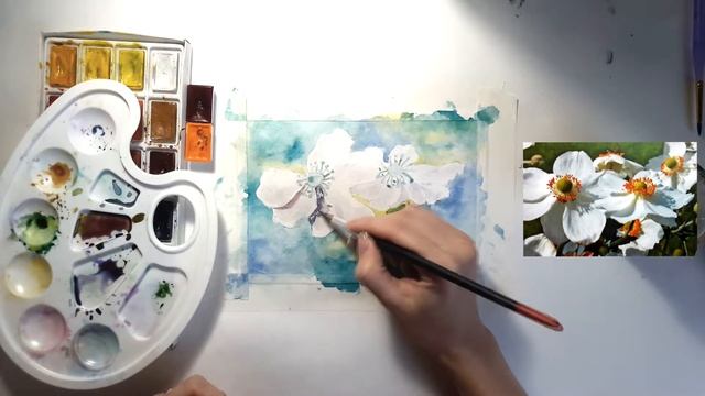 Рисуем цветы акварелью. Пошаговый урок. Белые анемоны. смотреть онлайн