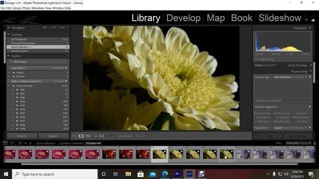 Use a Simple Focus Stacking Technique to Get Tack Sharp Images with Photoshop (2021) смотреть онлайн