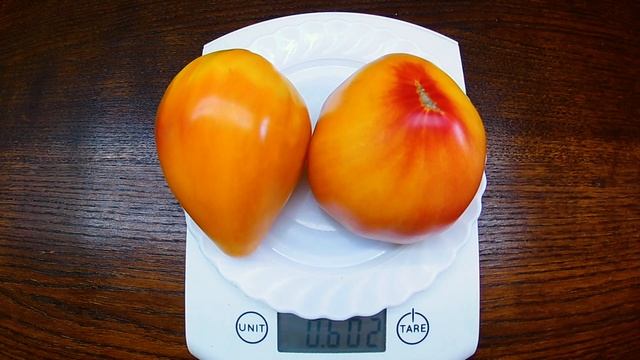 Orange Russian Томат Русский оранжевый смотреть онлайн