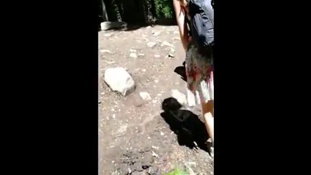 Архыз 7 июля 2018 смотреть онлайн