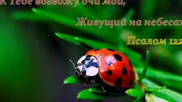 Удивительная милость смотреть онлайн