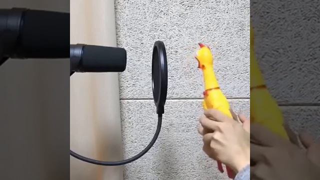 Kip zingt lied смотреть онлайн