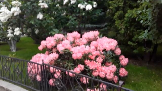 Поездка к Матроне смотреть онлайн