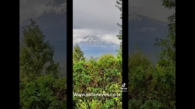 Mountain kilimanjaro in Northern Tanzania safari ,The free standing Mountain in world смотреть онлайн