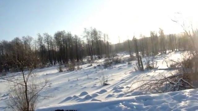 Сотрудник МЧС Бессмертный копать так копать, рухнет так рухнет, а водоема нет...