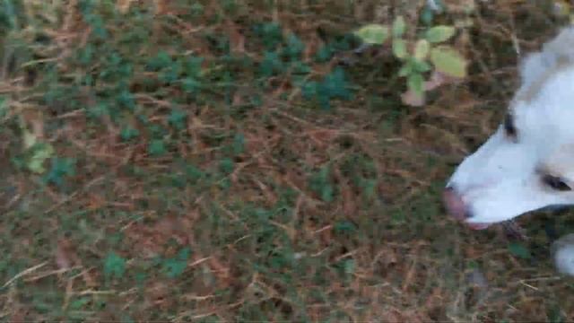 Подарок на День Рождения! смотреть онлайн