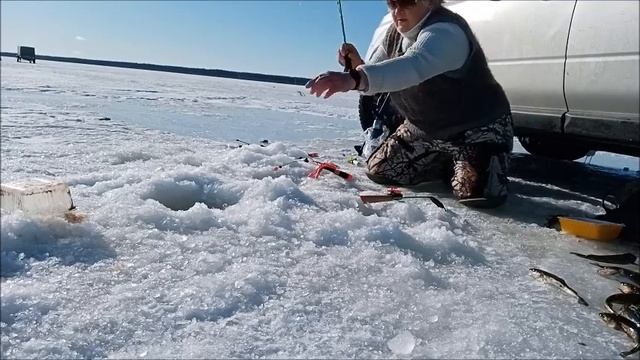 Вежма 17 03 23 смотреть онлайн