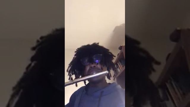 “Lord Of The Rings-Into The West” on Flute смотреть онлайн