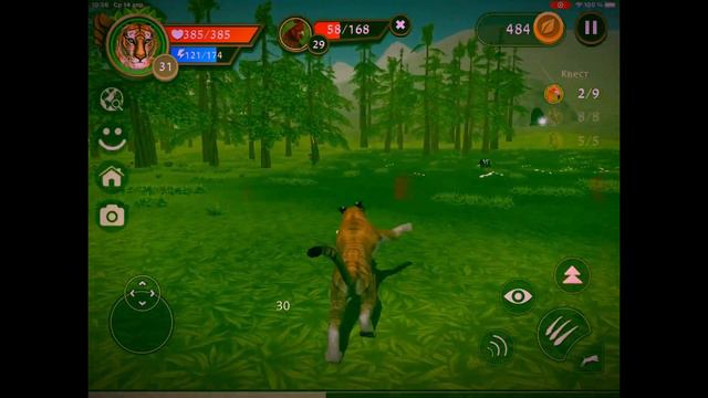 Быстрая Прокачка с 1 до 200 лвл в Вайлдкрафт (Wildcraft) смотреть онлайн