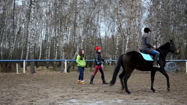 Тренировка по верховой езде (Школа верховой езды Династия). смотреть онлайн