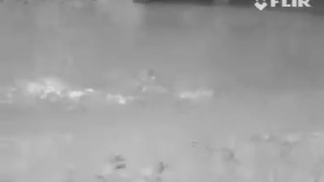 Operation Risky Sun II FLIR Thermal Footage смотреть онлайн