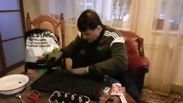 Выращивание редиски в квартире . Очень просто и легко! Урожай менее, чем через 30 дней. смотреть онлайн