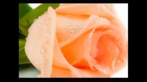 С ДНЕМ РОЖДЕНИЯ, ВЕРА!!!