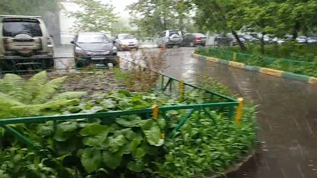 В Москве летом идет снег 2 июня 2017 смотреть онлайн