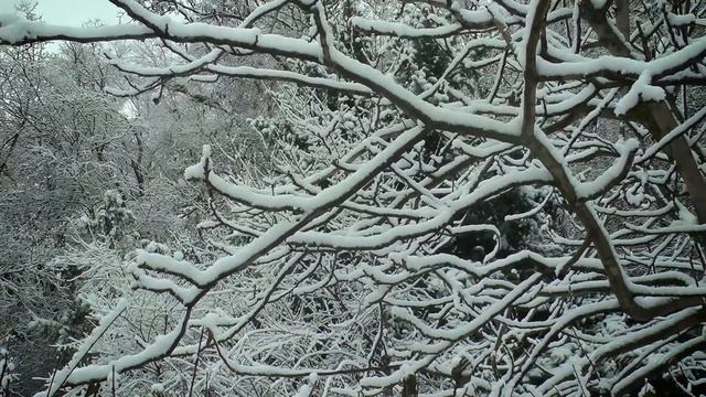 Зимняя феерия в городе смотреть онлайн