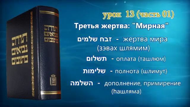 Танахический Иврит 13 - Часть 2. Виды жертвоприношений. смотреть онлайн