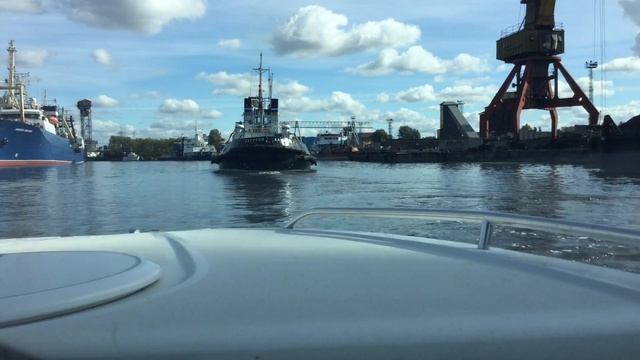 2016г. Калининград. Старая Преголя. Просто так... смотреть онлайн