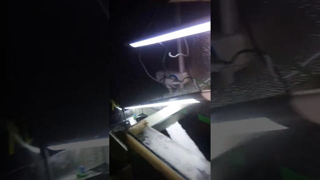 22 октября 2023 г. смотреть онлайн