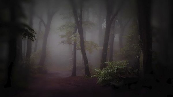 ALICE IN WONDERLAND QUOTES