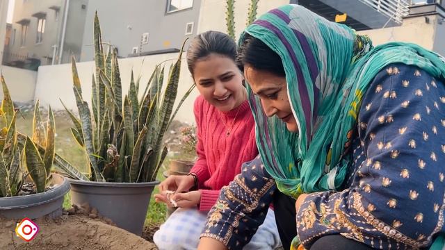 Sistrology bana village | Mama ka kiya makeup | Hira Faisal | Sistrology смотреть онлайн