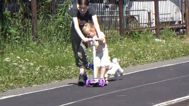 Собака компаньон ! Еще один наш питомец, малышка породы бишон фризе - Фиби! смотреть онлайн