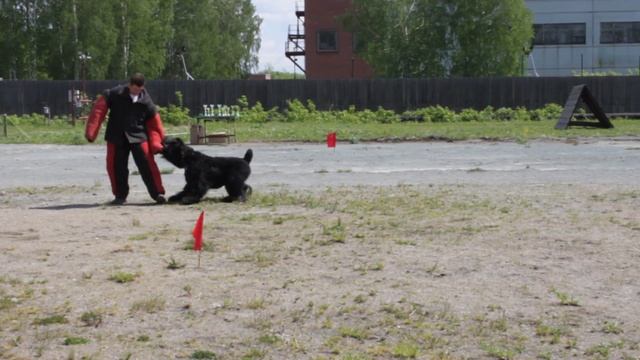 РЧТ Воевода Ермак