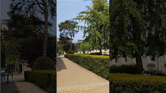 Downing College Cambridge University.Consistently Ranked Among the top all over the world (Continue смотреть онлайн
