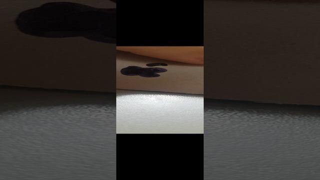 макбук 2022 против макбук, 2001.