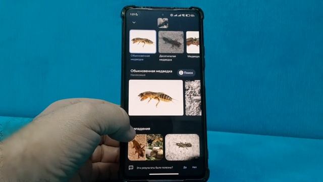 Google Обьектив | Lens. Практическое использование или как узнать название насекомого по фото. смотреть онлайн
