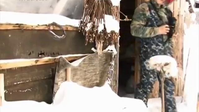 Охота на Северного оленя в Якутии смотреть онлайн